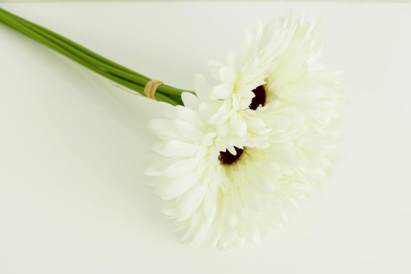 Kvety a kytice / Kytice / Gerbera x 6