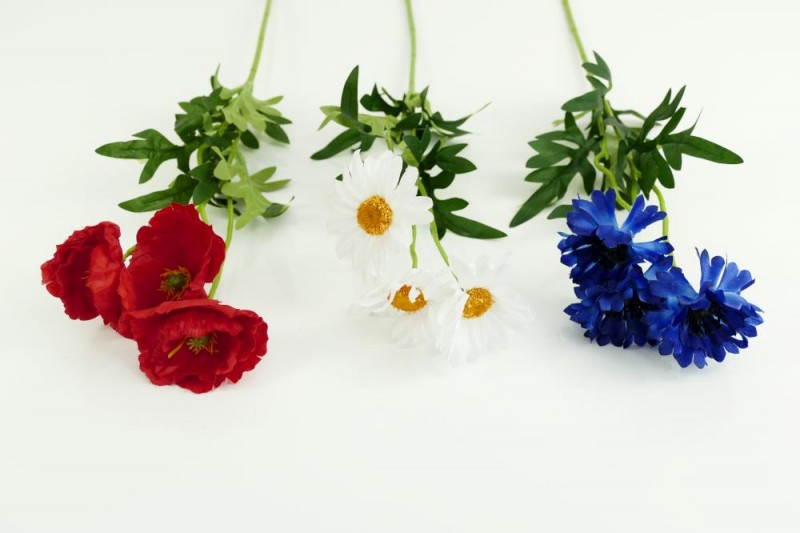 Kvety a kytice / Stopkové kvety  / Margarétka, mak, nevädza, stopka mix