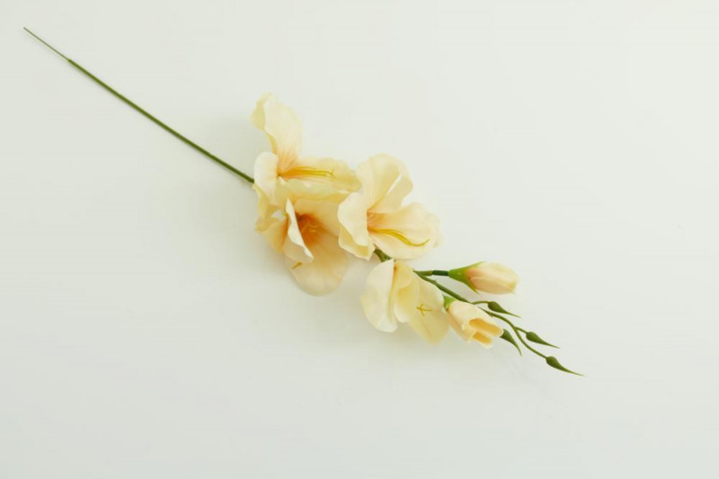 Kvety a kytice / Vencové kvety / Gladiol stopka krátky