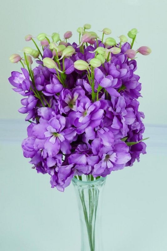 Kvety a kytice / Stopkové kvety  / Delphinium zápich