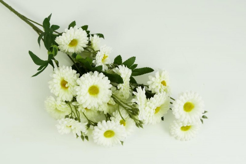 Kvety a kytice / Stopkové kvety  / Margarétka stopka